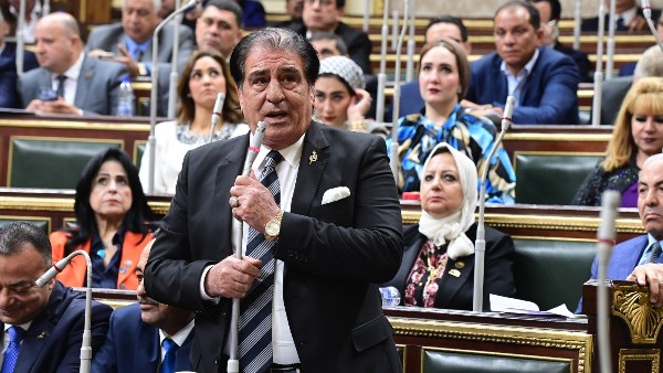 أحمد فؤاد أباظة رئيس لجنة الشئون العربية بمجلس النواب