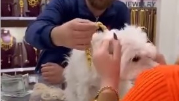 عراقية تهدي كلبها قلادة ذهبية بـ 13 مليون دينار