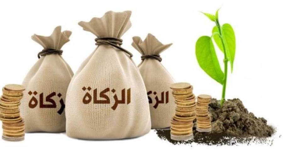 زكاة الفطر