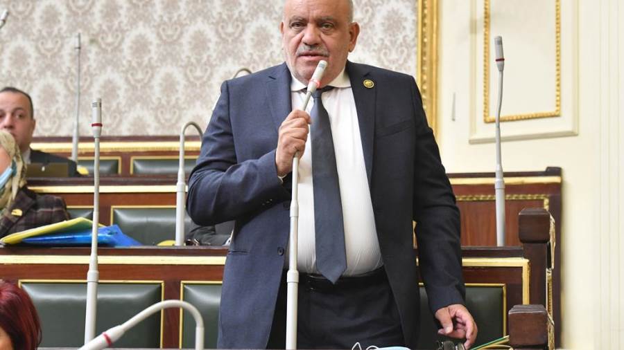 سيد حنفي عضو مجلس النواب 