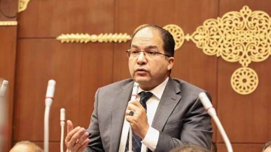 عادل اللمعي عضو مجلس الشيوخ