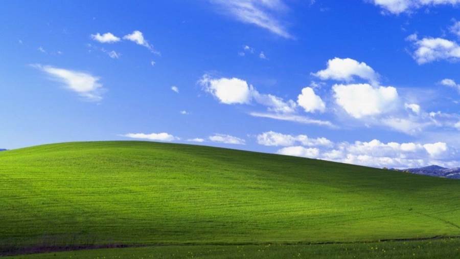 ويندوز