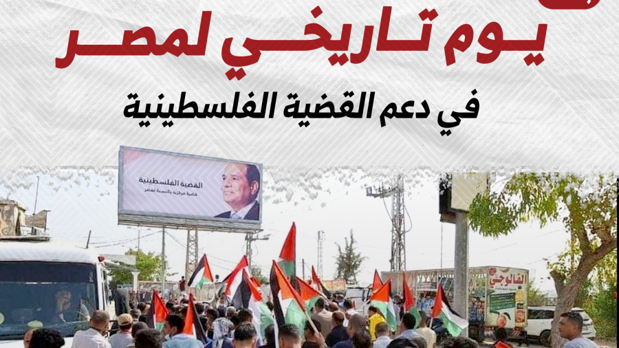 يوم تاريخي لمصر في دعم القضية الفلسطينية