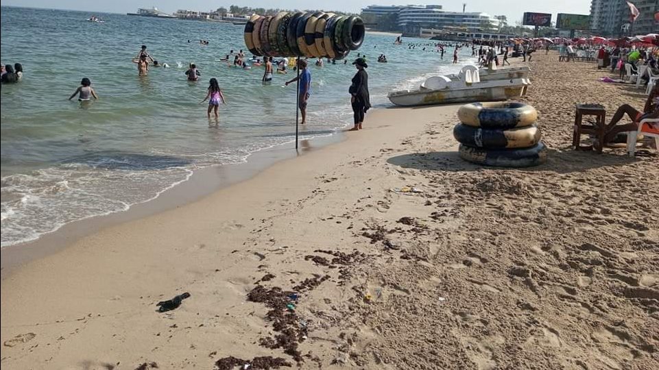  رفع الرايات الخضراء على شواطئ الإسكندرية