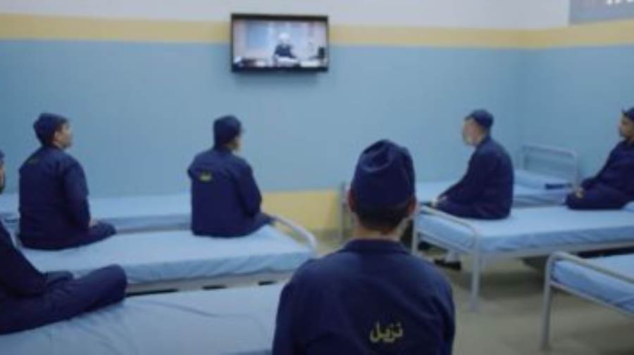 قطاع السجون