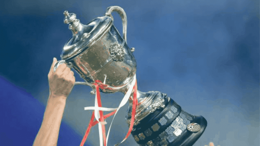 كأس مصر