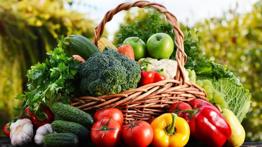 أسعار الخضروات صباح اليوم الثلاثاء