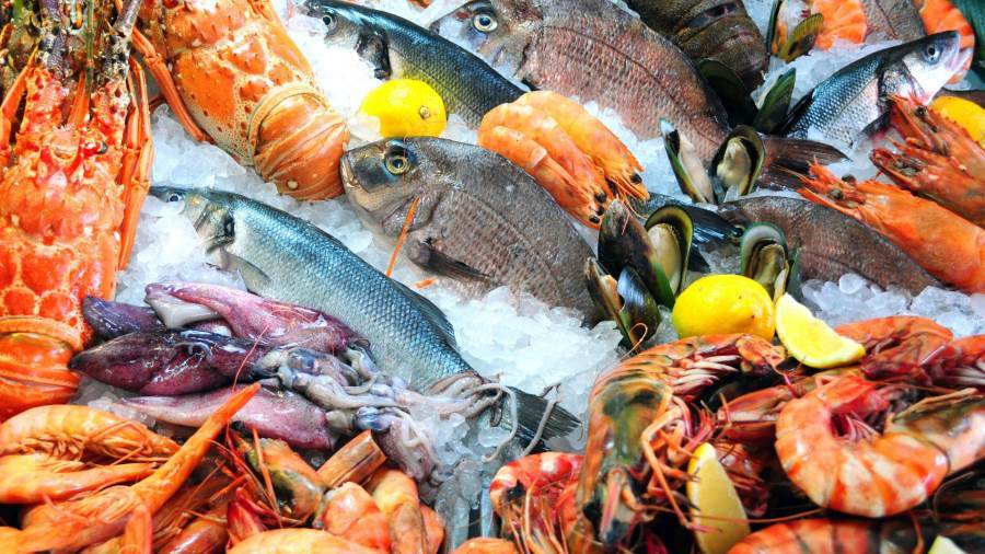 أسعار السمك والمآكولات البحرية اليوم الثلاثاء