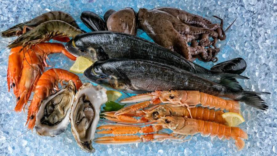 أسعار الأسماك الأستهلاكية اليوم الأربعاء 13 يوليو