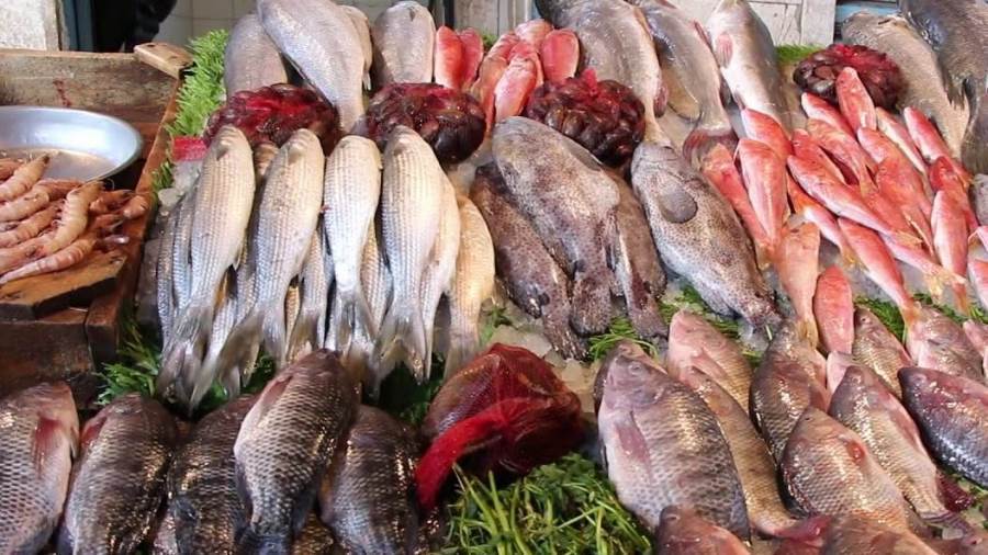 انخفاض اسعار السمك بسوق العبور 