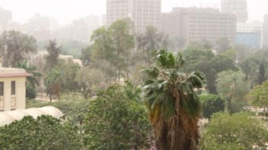 حالة الطقس في مصر