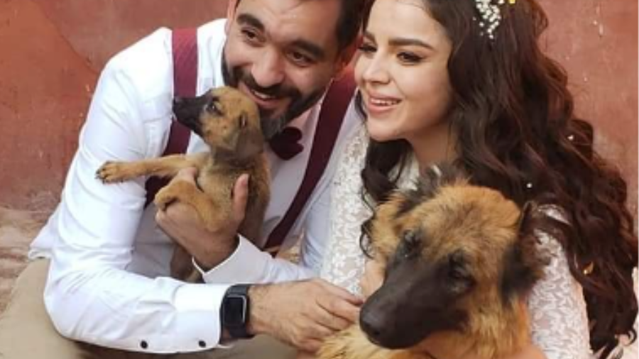 عروسان يثيران الجدل بإقامة حفل زفافهما بملجأ كلاب