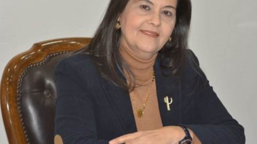 الدكتورة هويدا مصطفى أستاذ الإعلام