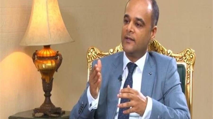 السفير نادر سعد المتحدث باسم مجلس الوزراء