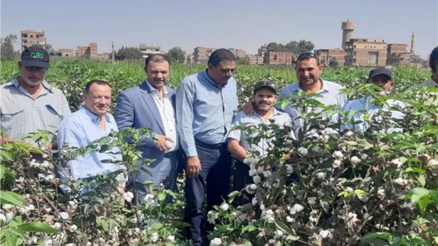 صورة من جانب الفاعلية