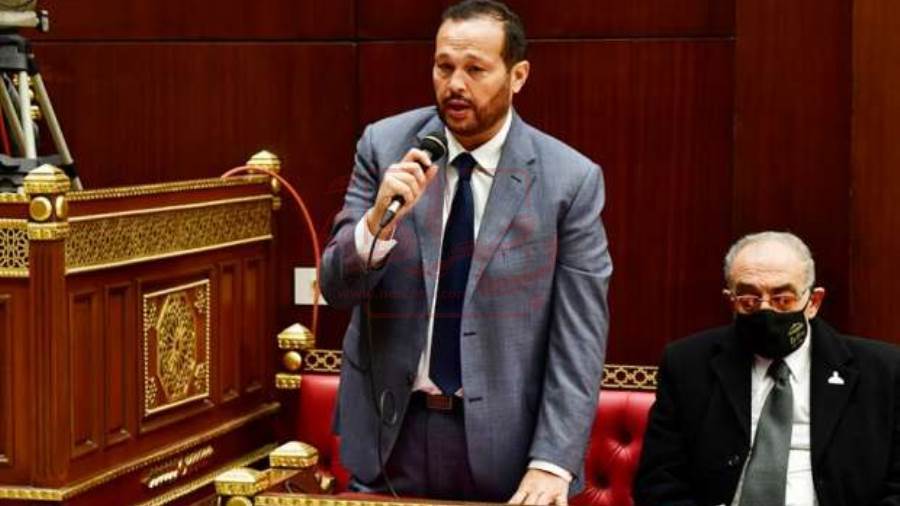 النائب محمد حلاوة عضو مجلس الشيوخ