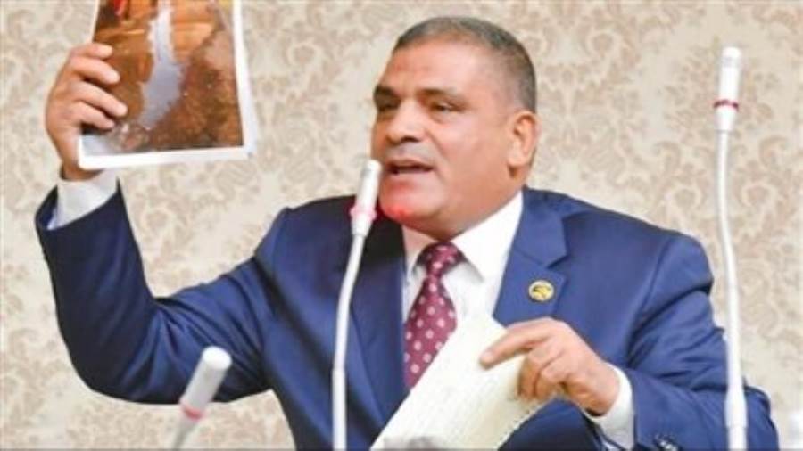 النائب محمد محمود عبد الغني عضو مجلس النواب