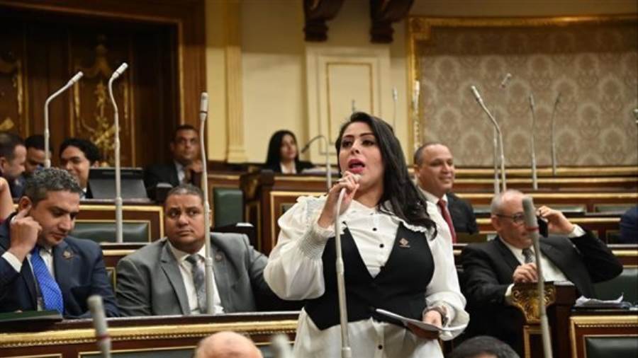 مرثا محروس عضو مجلس النواب