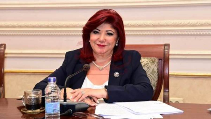 النائبة نورا علي عضو مجلس النواب