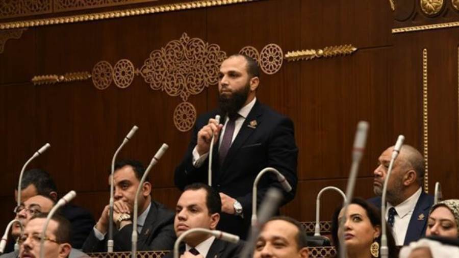 النائب محمود تركي عضو مجلس الشيوخ