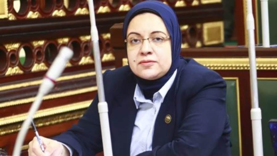 النائبة ريهام عبد النبي عضو مجلس النواب