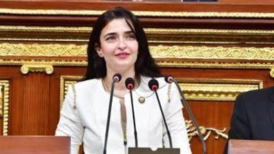 النائبة ايرين سعيد عضو مجلس النواب