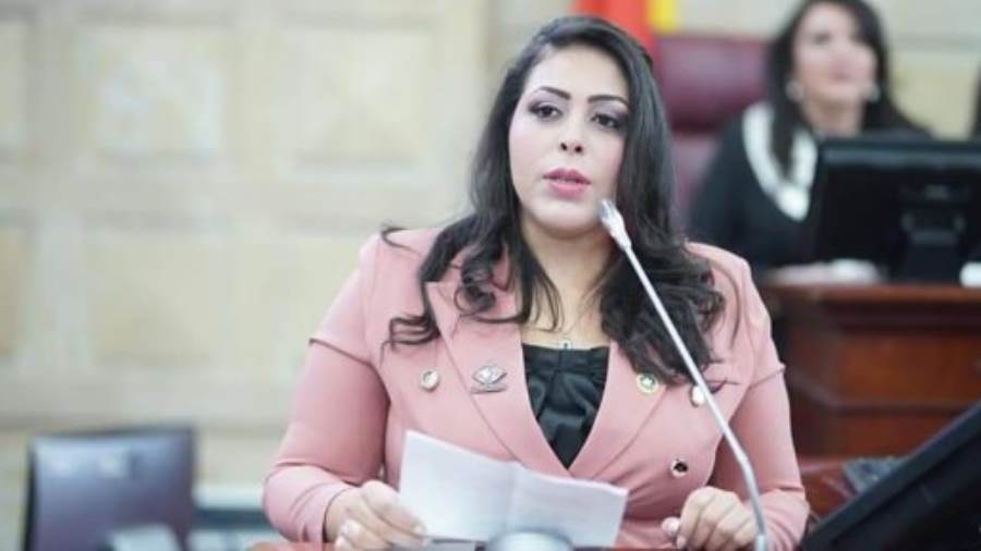 النائبة مرثا محروس عضو مجلس النواب