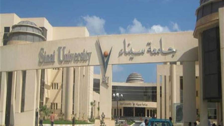 جامعة سيناء