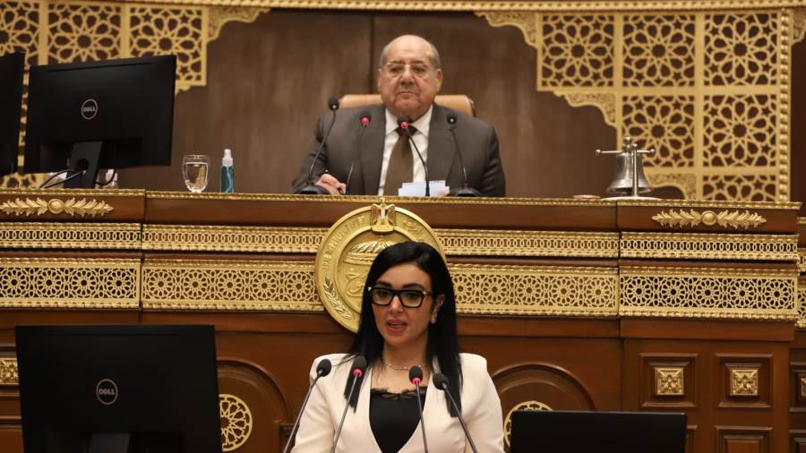 النائبة ريهام عفيفي عضو مجلس الشيوخ