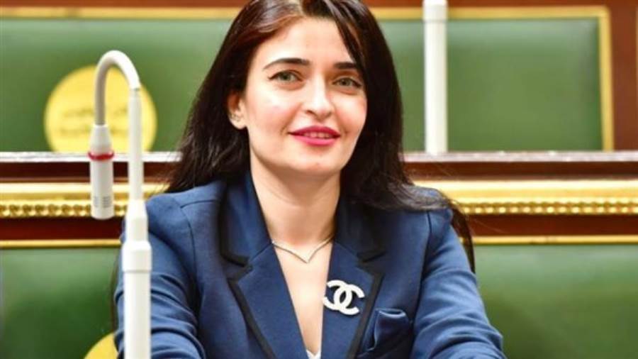 النائبة إيرين سعيد عضو لجنة الشئون الصحية بمجلس النواب