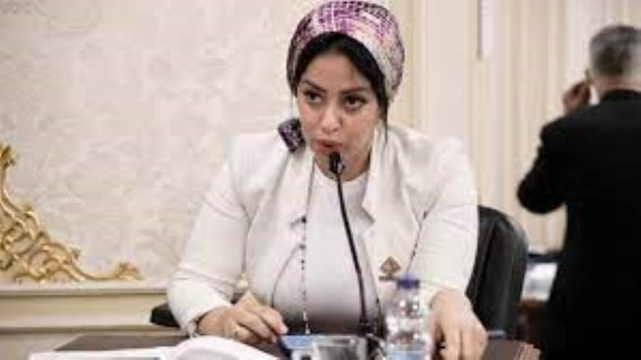 النائبة رشا فايز عضو مجلس النواب