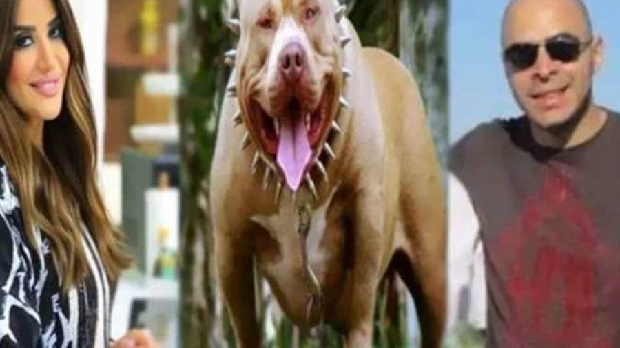 وفاة ضحية كلب البيتبول المملوك للمذيعة أميرة شنب بعد غيبوبة 
