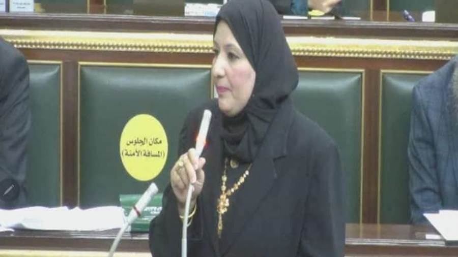 النائبة أميرة سعد عضو مجلس النواب