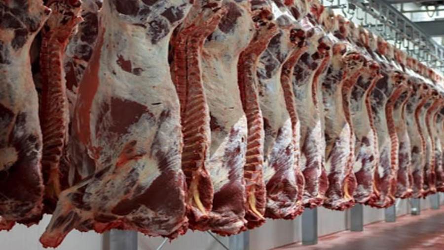 أسعار اللحوم اليوم الاثنين