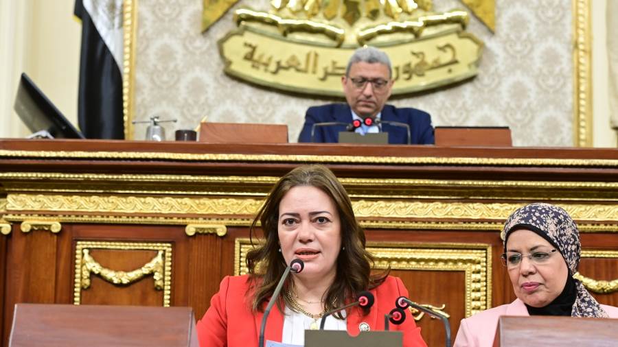 النائبة رشا رمضان وكيل لجنة الطاقة والبيئة بمجلس النواب