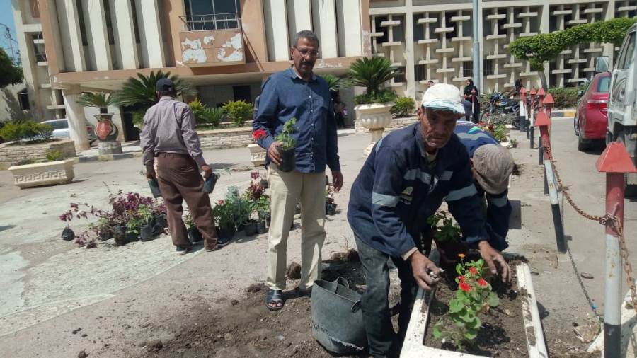 زراعة الأشجار بالأحواض الزراعية