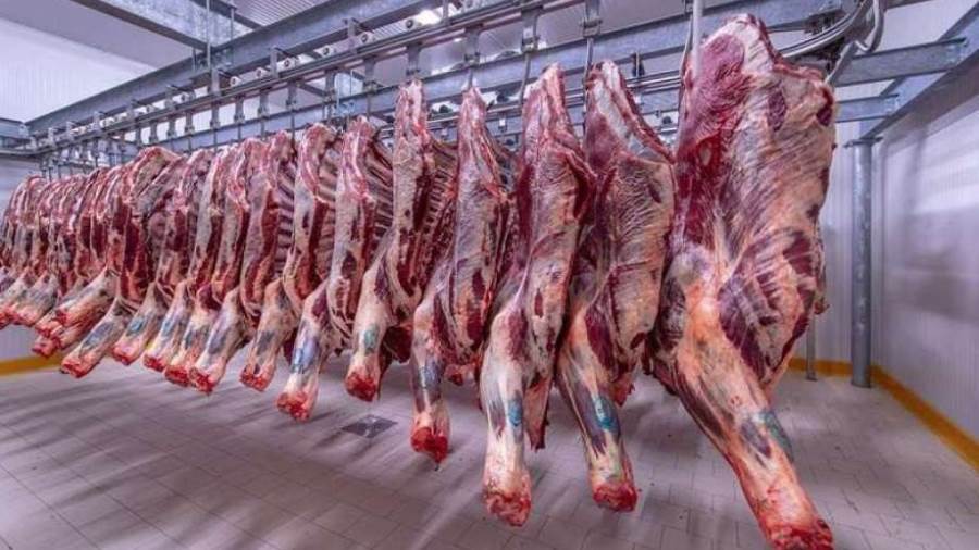 أحمد موسى يواجه التموين: أسعار اللحوم وصلت 400 جنيه والأضاحي