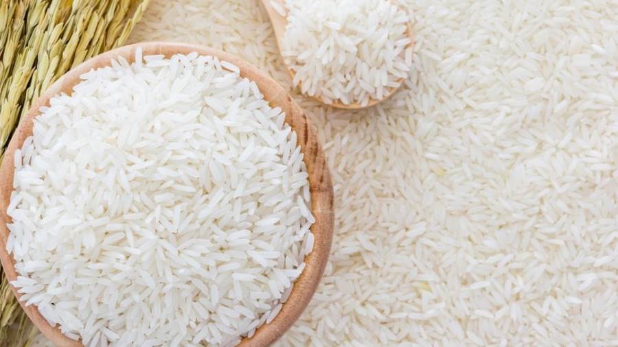 شعبة الأرز تزف مفاجأة للمواطنين: سعر الأرز انخفض 7 آلاف جنيه