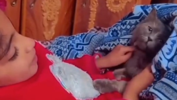 طفلة فلسـطينية توصي قطتها برسالة عفوية