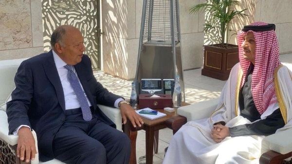 سامح شكري مع رئيس وزراء قطر