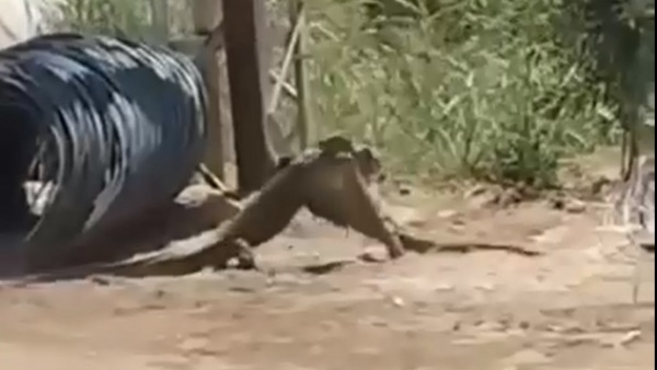 مشهد من الواقعة