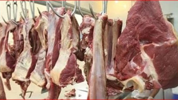 اسعار اللحم البلدي اليوم