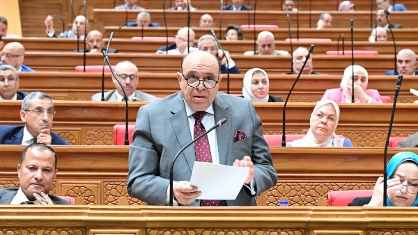 النائب أحمد خليل خيرالله، رئيس الهيئة البرلمانية لحزب النور بمجلس النواب