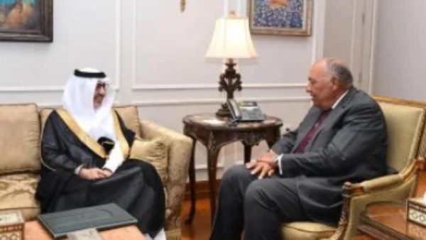 وزير الخارجية مع سفير السعودية في مصر 