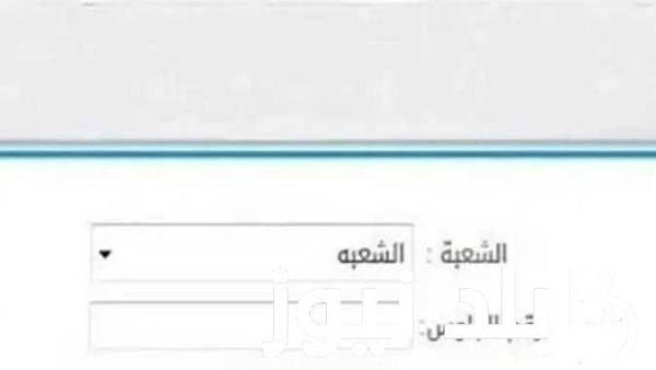 ارشيفية ارشيفية