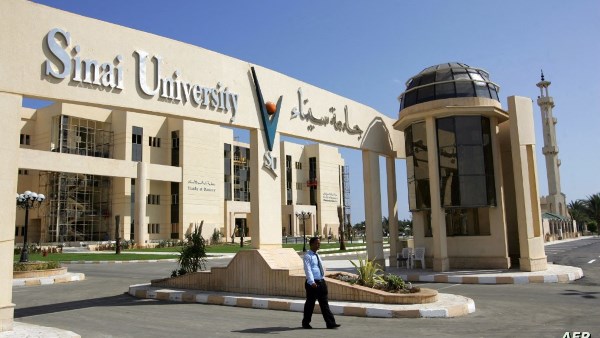 جامعة سيناء