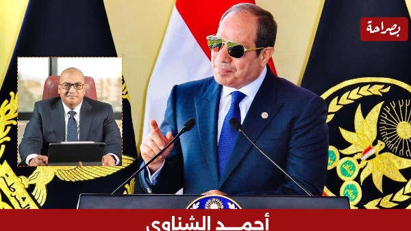أحمد الشناوي