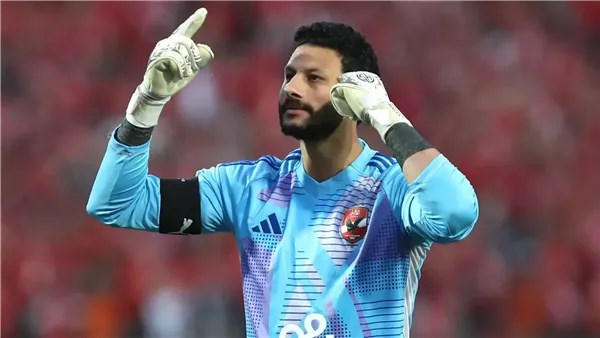 الشناوي الشناوي