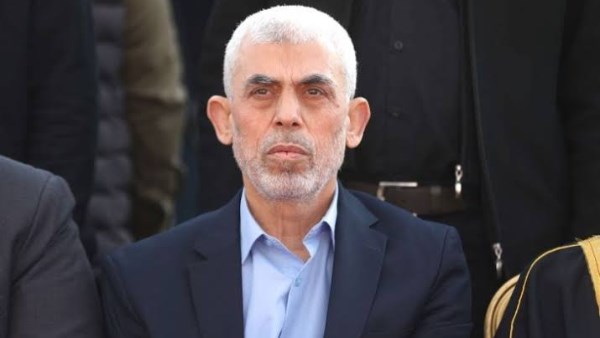 ارشيفية