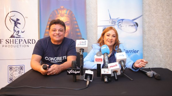 الفنانة شيرين 